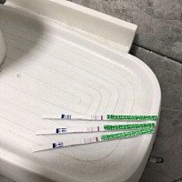 我想问问大家这是怀孕了吗，有点不太清楚，今天停经第四天了。