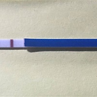 请问，这是不是有了，有点怀疑是不是来大姨妈zhi q