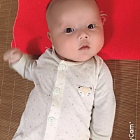 宝宝两个月了，自己的娃屎都是香的，哈哈。