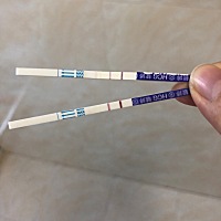 麻烦大家帮忙看一下，这次是不是真的有了？