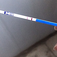 这这到底有没有中