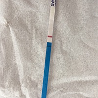 我感觉看到了两条杠，是我眼花还是真的有啦？亲们