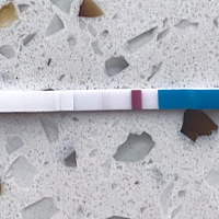 末次月经是8.9号，9.5号、9月17号都有测HCG，都是小于0.10，一直有测试纸，一直浅浅的，今天测两道杠明...