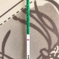 今天完全显条了 ✌️