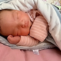 生娃4天了，。还没拉过粑粑。母乳还有点发黄是怎么回事？恶露排的也很少。这正常吗？？又没经验。真是愁...