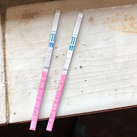 昨天24号去医院检查B超，医生让24.26.28同房。昨天晚上和今天早上都用测试纸测了一下，如下，是已经排了...
