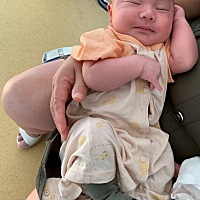 打疫苗的时候你在睡觉，打完后还没醒😅 去医院检查母乳成分，乳糖高了（怪不得你经常放屁），养娃累得...