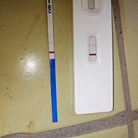 这是有了吗