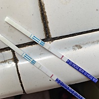 出血七天后