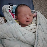 宝宝出生啦，女宝宝，像爸爸
