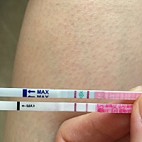 排卵试纸大卫和金秀儿都显示强阳了，还要多久能排呢