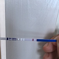 一个昨天测的，还有个今天测了，好像真的有了，好激动，