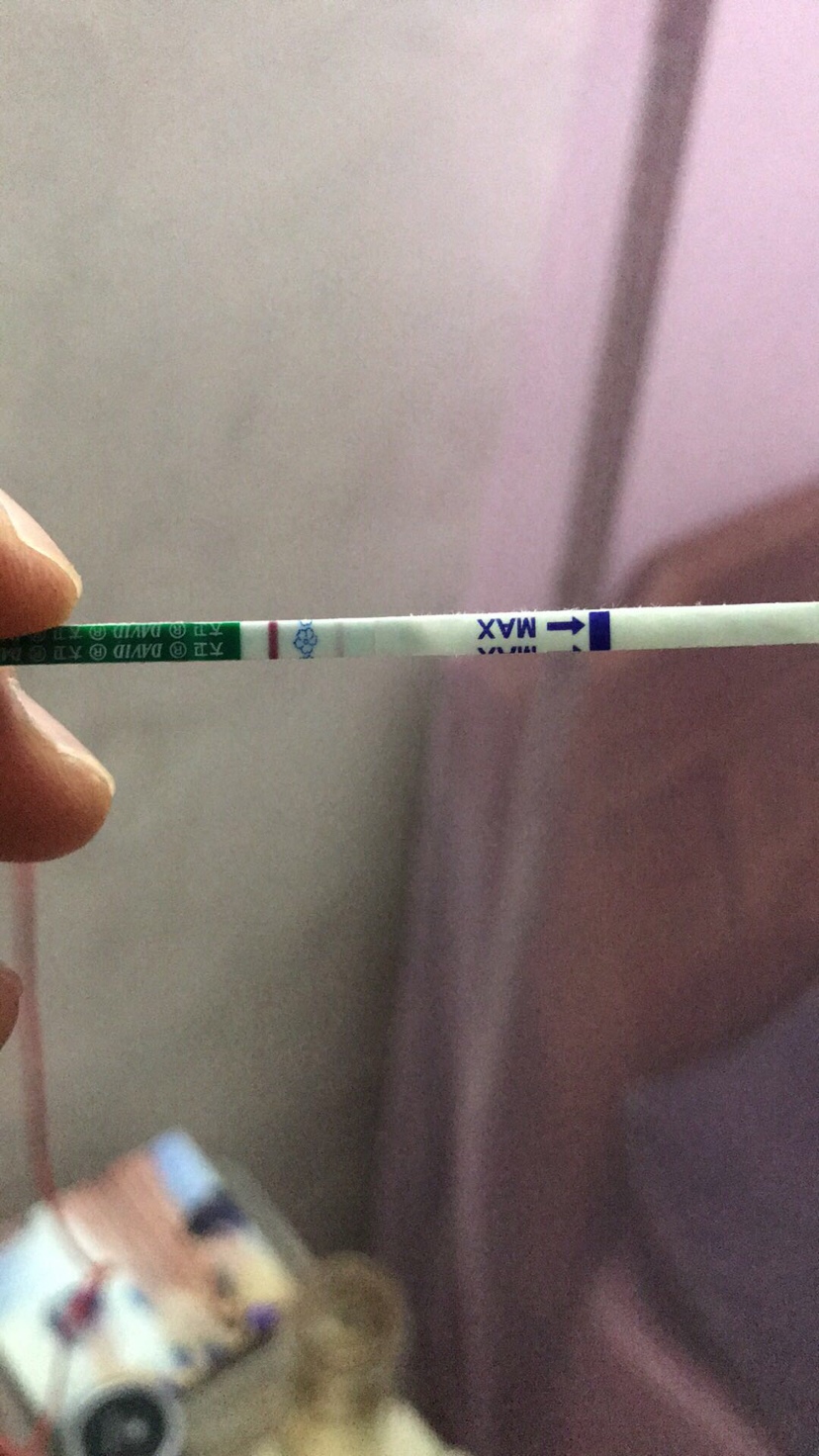 28号晚上11点多，尿检测