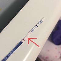 是不是怀孕了