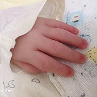 报喜啦！41周整生下猪儿子，体重七斤，身长52厘米，过程是难以忘怀的，不过都熬过来了，感恩