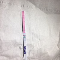 这是要排卵了吗