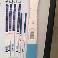 9.4号末次月经，15、16号使用排卵试纸检测到强阳，16、17号各安排了一次，十天之后使用早早孕试纸一直是...