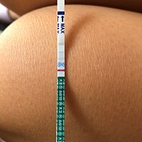 亲们，这是有了吗？？？