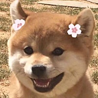 我想知道这个软件一直写到宝宝多大啊