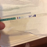 9月21号同房，今天大概是排卵后12天，大卫早孕试纸好像测到灰印了，大家帮我看看会不会诈糊