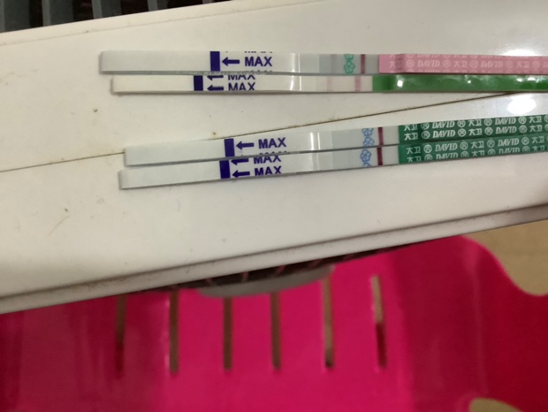 上面排卵下面早早孕，我8.26的月经，之前29号去抽血是没有的，现在没来月经，我都当月经不调了，今天测下好像有映，希望不是炸胡吧。不过都这么久了为啥才灰映，之前2号测了都没有。求解，难道