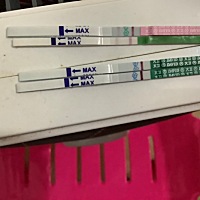 4264 上面排卵下面早早孕，我8.26的月经，之前29号去抽血是没有的，现在没来月经，我都当月经不调了，今...