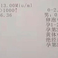 这是什么意思啊姐妹们