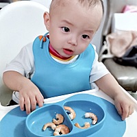 宝宝11个月了，真的不知道怎么样喂食才算营养健康有均衡，不知道我这样算不算达标！鸡胸肉，猪肉，...