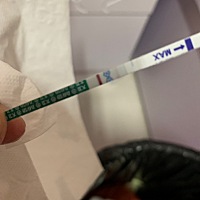 意外的惊喜 意外的惊喜，头胎试纸是立马显示的那种，这次大卫一直以为也是，昨天没看到，过几分钟垃圾桶...