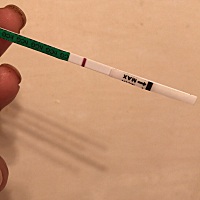9月26日排卵    刚给我妈一下子测了三个不同牌子的试纸，不知道有希望吗？