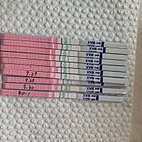 帮我看看我这是几号排卵呀