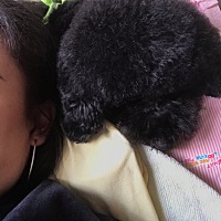 上午去医院复查，然后带着我的黑妞宝贝洗了澡美了个容，去我爸那里报道一下。