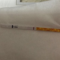 今晚起床有点恶心干呕，不知道是刷牙时候怼到了还是...让老公跟他备孕同事先借了个.金.秀.儿早早孕，看...