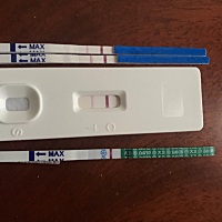 不知是否中奖？心里七上八下 末次月经9月13-15，第一个是昨晚上10点多测的，第二三是今早上测的，最后一...