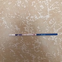请大家帮看看，这是怀孕了还是没有怀，大姨妈迟到了五天😭😭