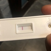 姨妈推迟的第三天，还是白板…………还有希望吗