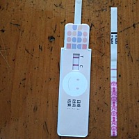 (转载)昨天晚上也测出来了，明显粉印，金.秀.儿的排卵纸，一天比一天加深