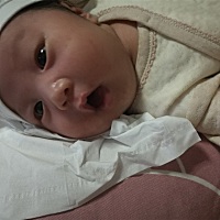 宝宝把乳头吸破了，每次喂奶都是折磨，宝宝吃得欢，我抱着她哭，要疼多久才能习惯啊……