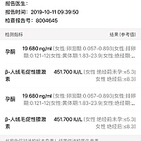官方宣布了怀孕