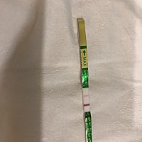 末次月经9月15号，今天早上策的，这是怀了吗？
