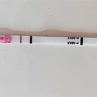 (转需)昨晚才测到强阳！半夜同房了，今天测了个.金.秀.儿是强阳的！刚排卵时候是这样吗？
