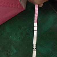 没测到排卵期之前也有同房，昨天白天才测到强阳，拿.金.秀.儿测的，就又安排一次！