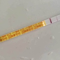 柚子上面是19号排卵，但是今天验才验出浅粉是.金.秀.儿的试纸，月经推迟了2天，现在还没来