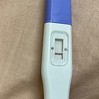 有人告诉我这是怀孕了吗？