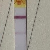 我已经推迟六天了 验了两次金.秀.儿早孕都是浅浅的板，姨妈还是不来，  求求姨妈快来好吗 不要放弃我~