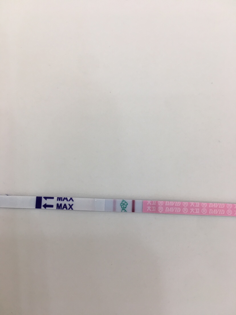 秀儿的是早孕纸，大卫是排卵试纸