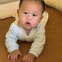 记录一下，今天本大爷农历6个月了，吃奶量200-230，白天每四小时吃一次，前天开始，每天增加一次米糊，...