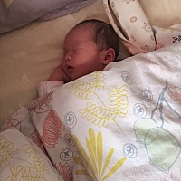 小宝贝12天啦，开心😃，还有18天出关