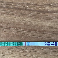 30号监排还未排卵，中间一直没去医院，16号去医院显示拍了，但是具体排卵日期不知道，末次月经9月19号，...