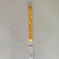 排卵过后一直有血丝直到大姨妈，今天是第八天了，这是今天测的金.秀.儿的早早孕。